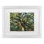 Art mural encadré - Décoration murale «Angel Oak Charleston» par Pierre Leclerc - cadre mat - salon, cuisine et salle de bain - 11 x 14-989485857-989485868