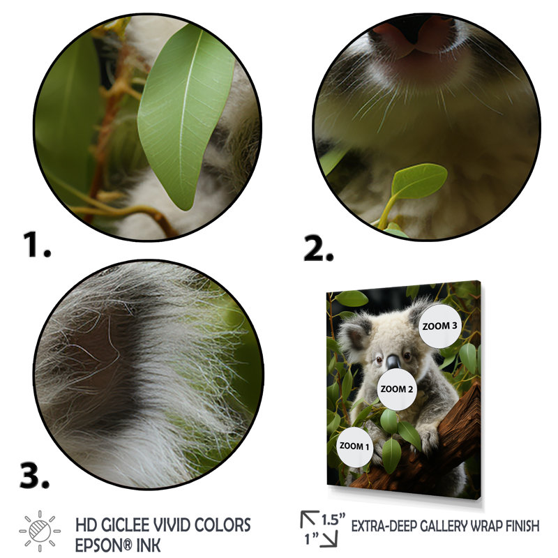 «Realistic Koala Eucalyptus Observer 2», art mural animal koala, Toile tendue, 32" H x 24" W