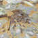 Machine Washable Indoor/Outdoor Molewski ACN2340 Floral Rug