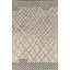 Tapis oriental marocain à la main en treillis 8 x 11