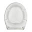 Oval Toilet Seat-908246599