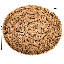 Artifacts Rattan Oval Ottoman Tray With Cutout Handles-101462499