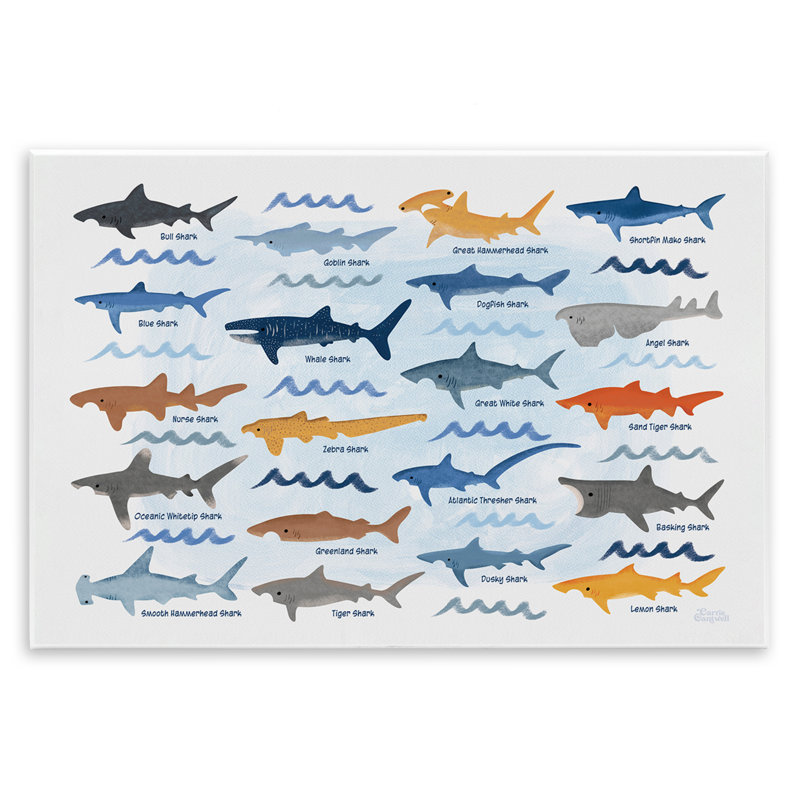 Art varié, "Shark Breeds", par Carrie Cantwell, H 13 po x l 19 po