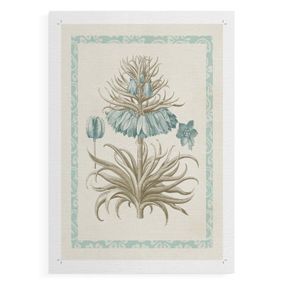Willow Blue Besler II -Canvas Print Only - NOT FRAMED