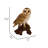 Barn Owl on Stump Statue