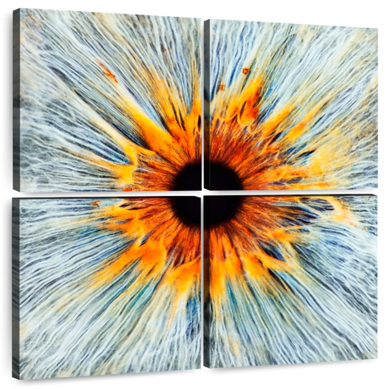Alcaraz Magnificent Human Eye, 18" H x 18" W