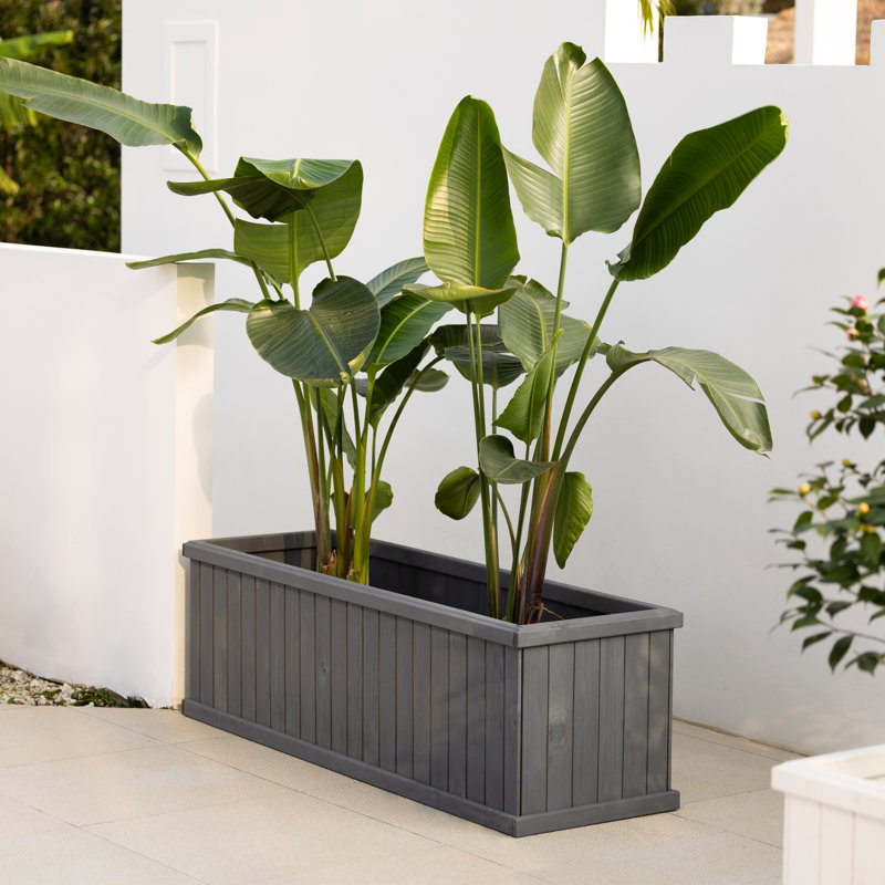 Boîte à fleurs rectangulaire en cèdre massif avec trous de drainage Barros, Gris, H 18,75 po x l 60 po x P 18,75 po