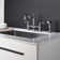 Dilon Kitchen Faucet