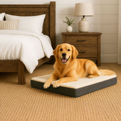 Grand lit pour chien en mousse viscoélastique 2 couches PETMAKER - gris 36 x 27