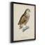 «French Owls I», impression sur papier-1832933970-1832933971