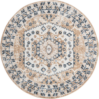 Deral Oriental Indoor Rug