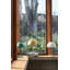Pin Lamp-1426218531