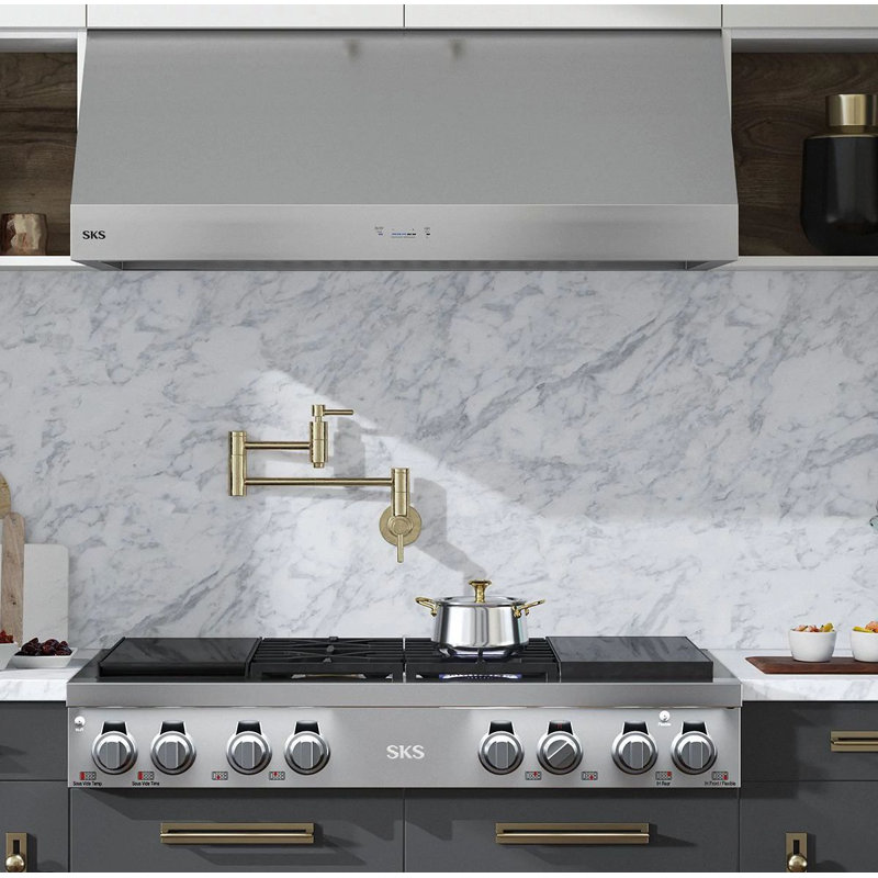 48" Professional Vent Hood