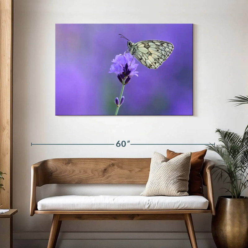Papillon blanc marbré Brampt, H 30 po x l 45 po