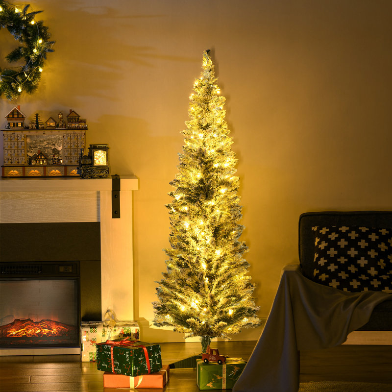 Lighted Christmas Tree
