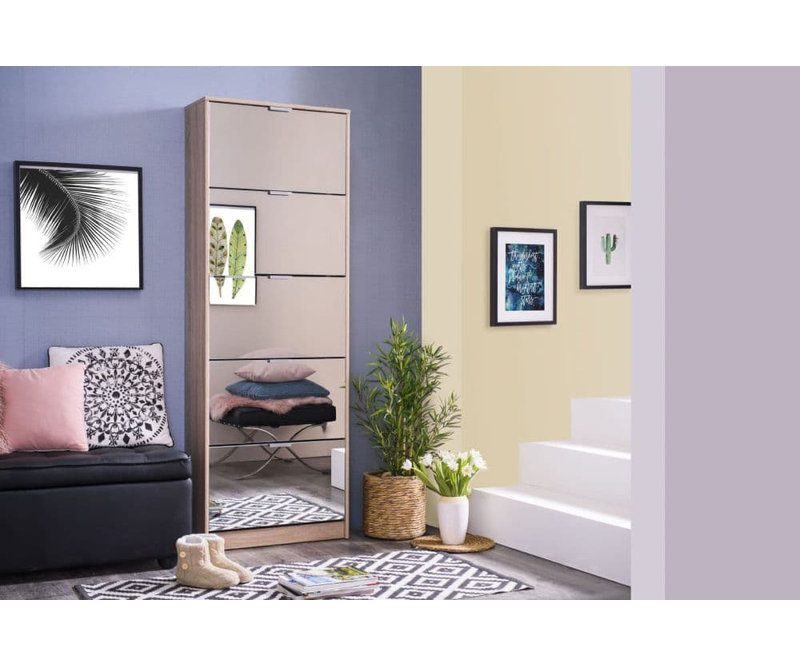 20 Pair Shoe Storage Cabinet