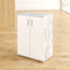 Frieda 2 -Door Storage Cabinet-30735455