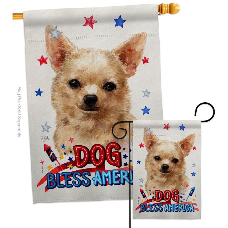 Drapeau de jardin patriotique en polyester Chihuahua, H 40 po x l 28 po