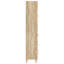 Storage Cabinet-1511457564
