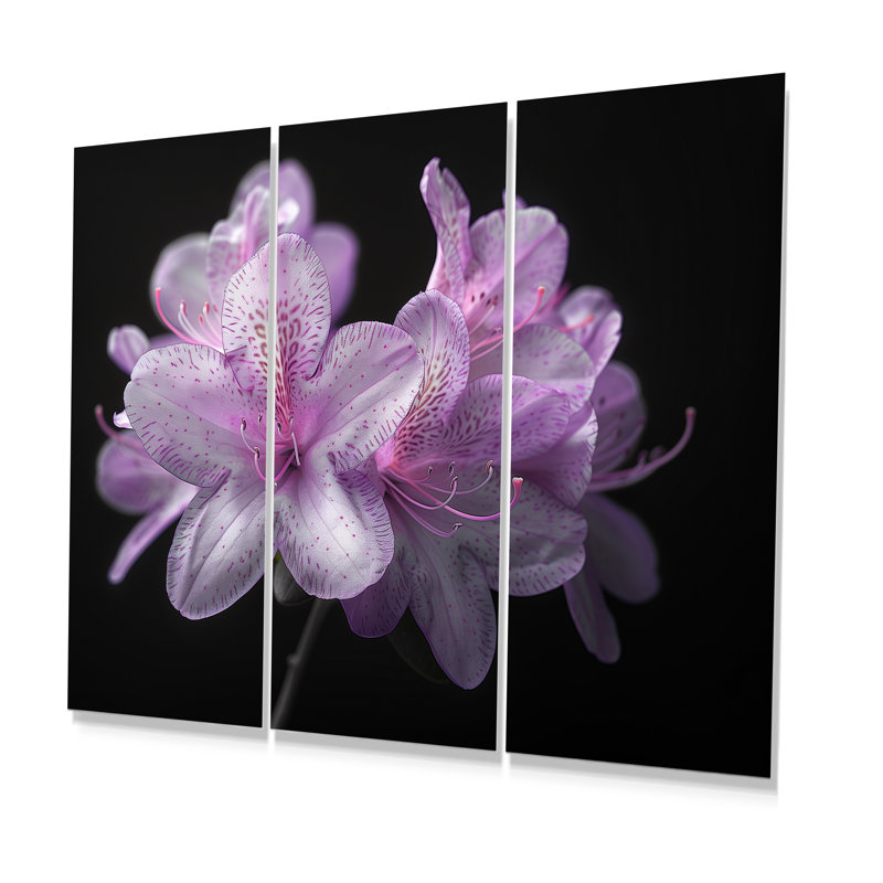 Mauve et noir rhododendron chuchotant des vents - ensemble d'art mural rhododendron, H 28 po x l 36 po x P 1 po, Toile tendue