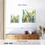 Eucalyptus Harnek-109235402