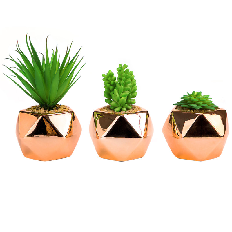 Ensemble de 3 plantes grasses artificielles dans un vase décoratif