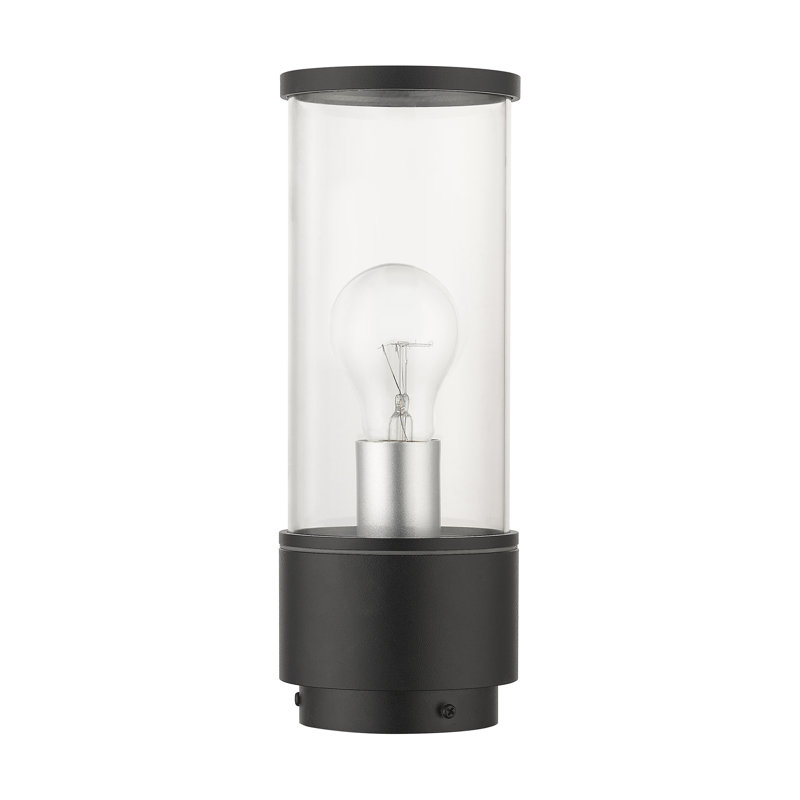 Muskan Transparent Lantern Head