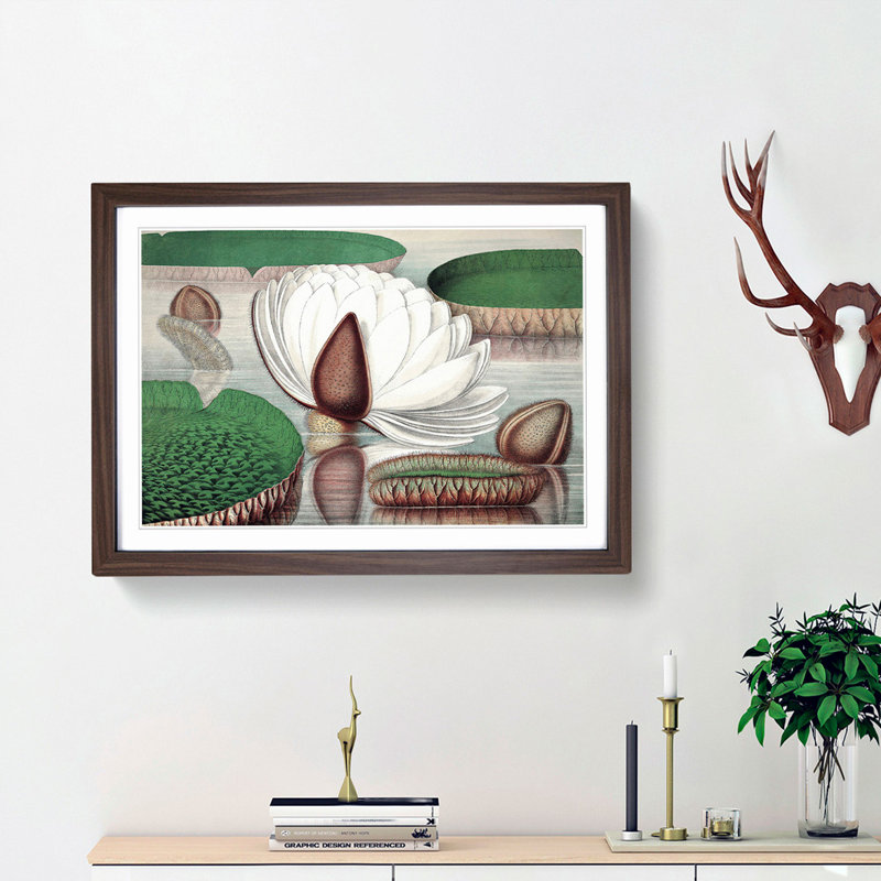 Gigantic Water Lily in Bloom by William Sharp - Picture Frame Painting Print, Walnut Framed, 48cm H x 65cm W x 2cm D