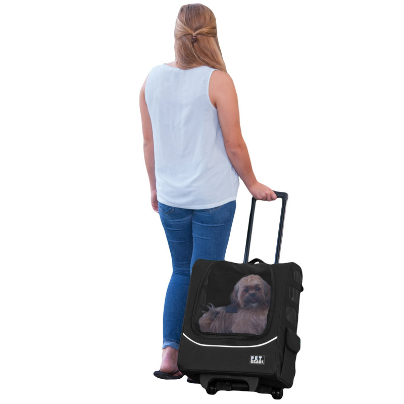 IGO2 Pet Carrier with 1 Door, Black