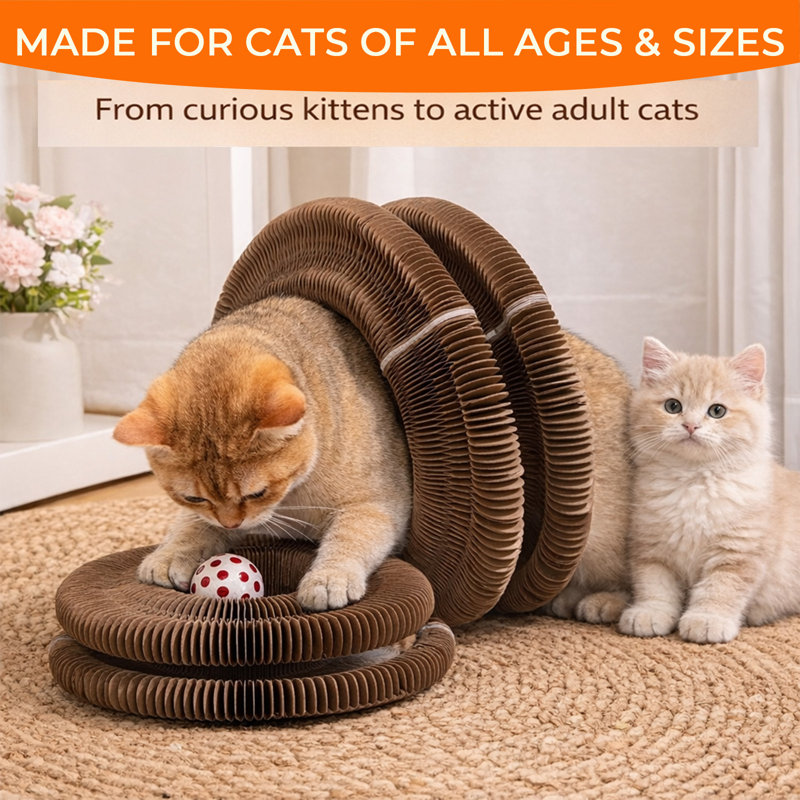 Jouet pour chat Kitty Curls, orgue magique pliable en accordéon avec balle roulante, griffoir interactif apaisant pour chats et chatons d'intérieur