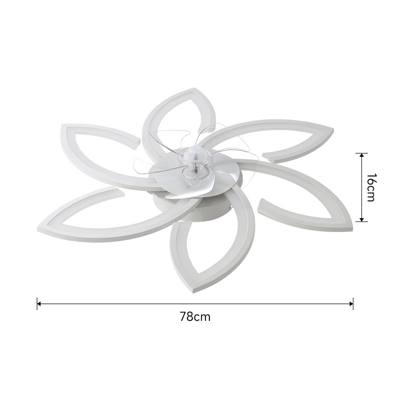 Ceiling Fan