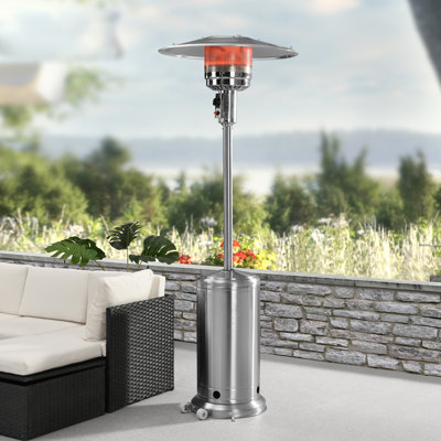 Zenobia Stainless Steel Propane Electric Standing Patio Heater Patio Heater