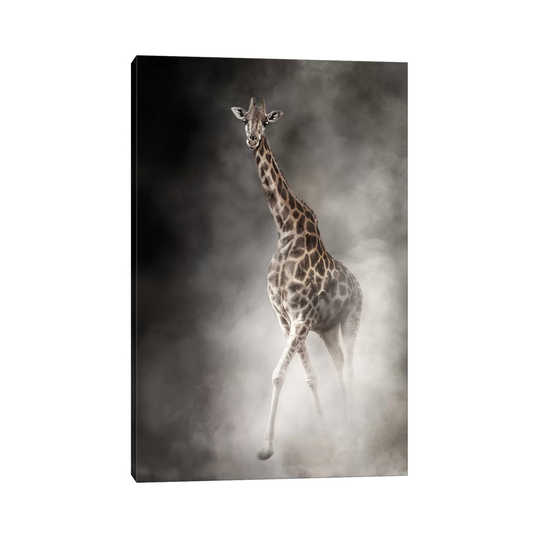 Rothschilds Giraffe In The Dust by Susan Schmitz - Wrapped Canvas Gallery-Wrapped Canvas Giclée