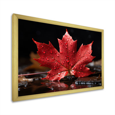 " Canada Canadian Pride III "