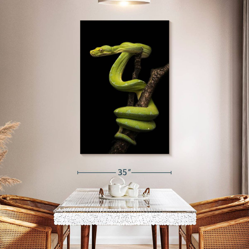 Brampt Python Wrapped Around A Branch, 51" H x 34" W