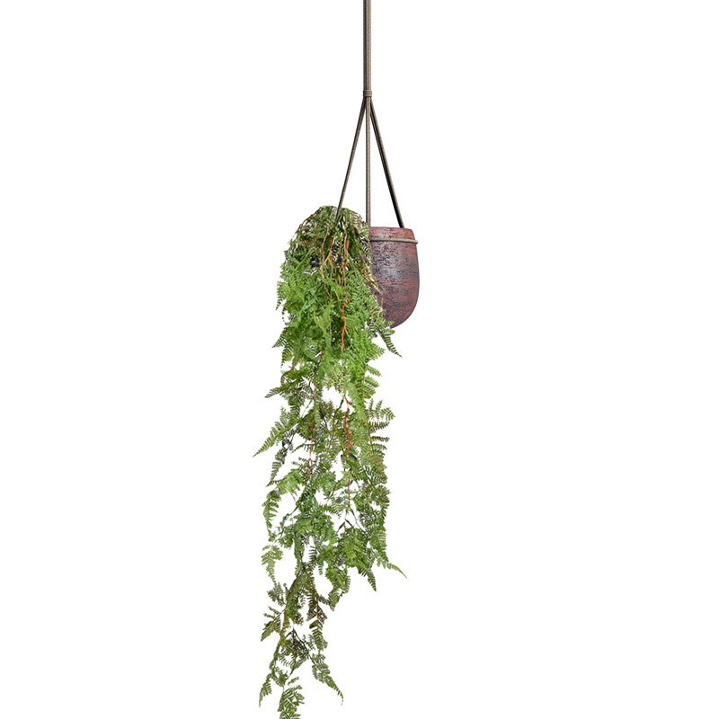 Ensemble de 12 plantes artificielles en fougère