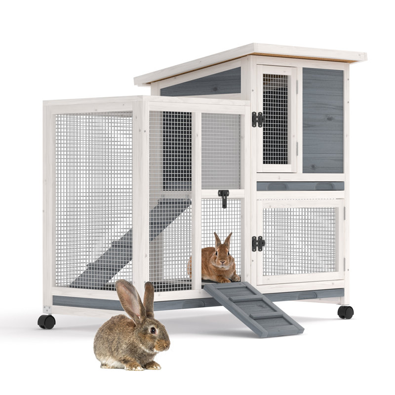 Poulailler en bois, Gris / blanc naturel