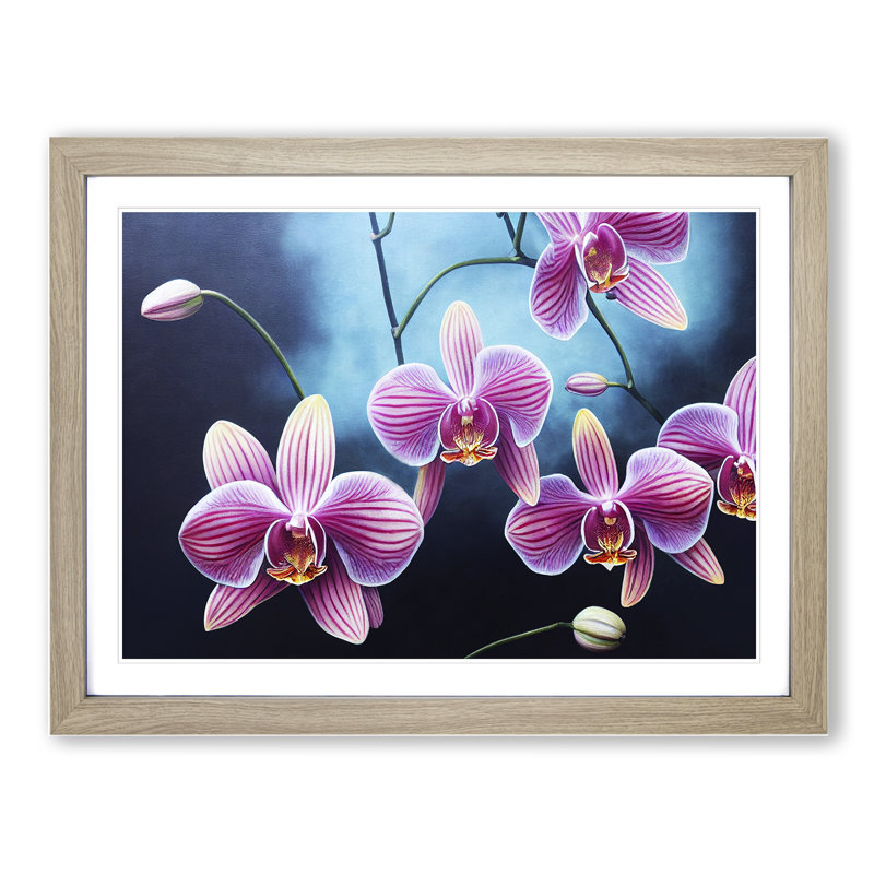 Incomparable Orchid Flowers - Single Picture Frame Print, 46cm H x 64cm W x 2cm D, Oak