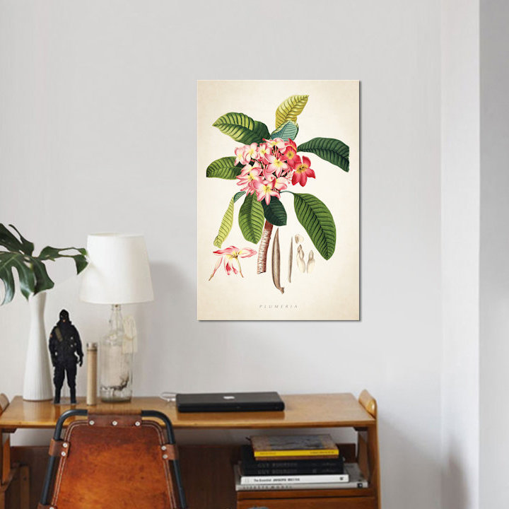 «Plumeria Botanical Print», impression sur toile, H 60 po x l 40po x P 1,5 po, Toile tendue, Pas de tapis