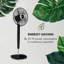 Infinity Storm 140cm Oscillating Pedestal Fan