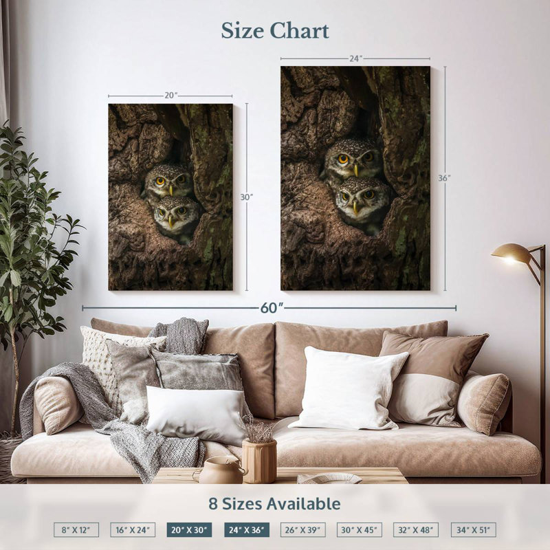 Brampt Twin Baby Owls, 36" H x 24" W