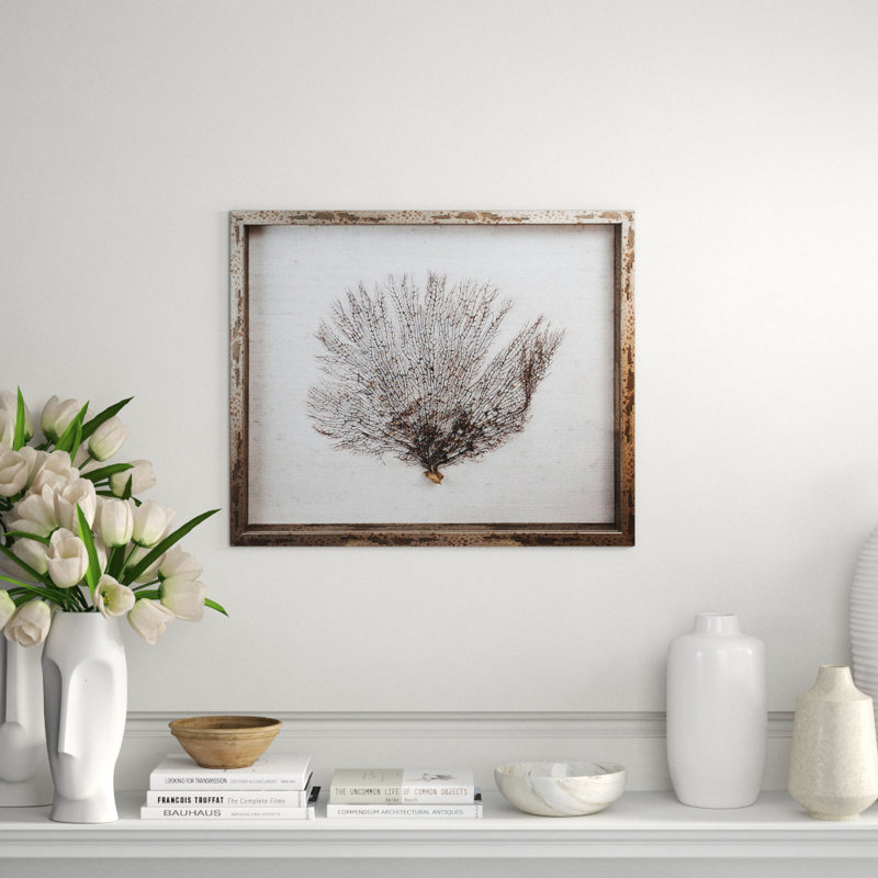 Sealife Framed Graphic Art