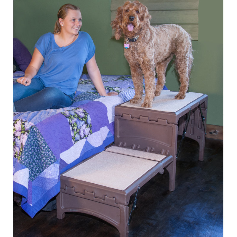 Escalier pour animal 2 marches pliable sur pieds