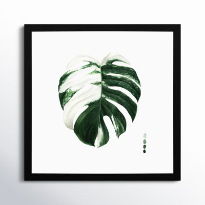 Variegated Monstera II Print by Grace Popp