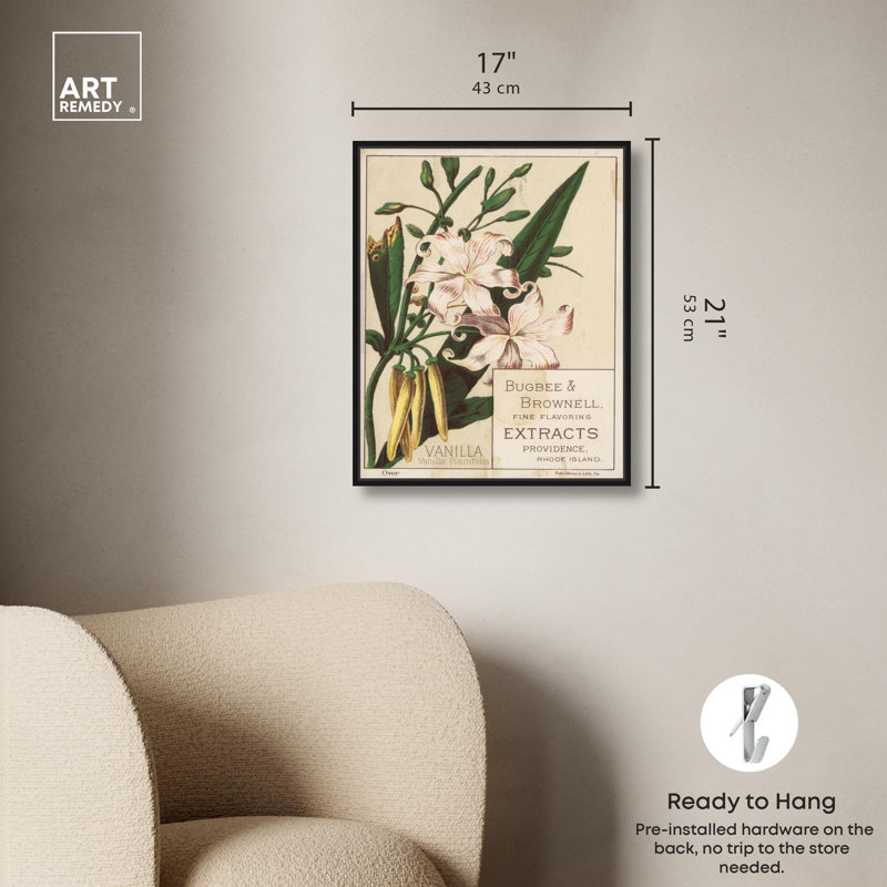 Toile vanille planifolia par Art Remedy, Noir, H 21 po x l 17 po, Cadre flottant