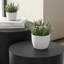 Ensemble de 2 tables basses Nesting, table basse ronde moderne avec pieds antidérapants, table d'appoint en bois