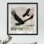 Birchbark Eagle - reproduction de cadre photo sur papier-258332814
