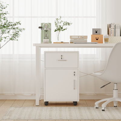Storage Cabinet