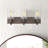 Lareau 3 - Light Dimmable Vanity Light