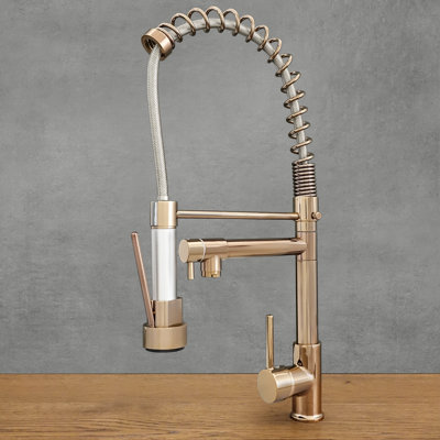 Belfry Kitchen Kitchen Faucet